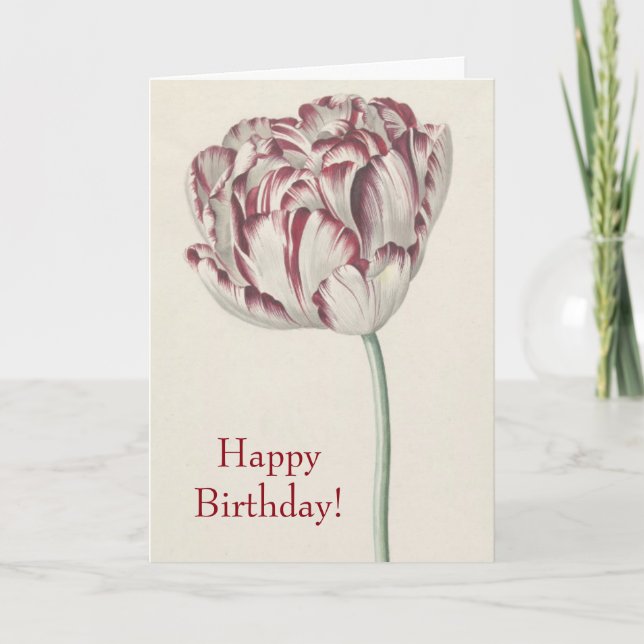 Happy Birthday - Vintage Red and White Tulip Card (Front)