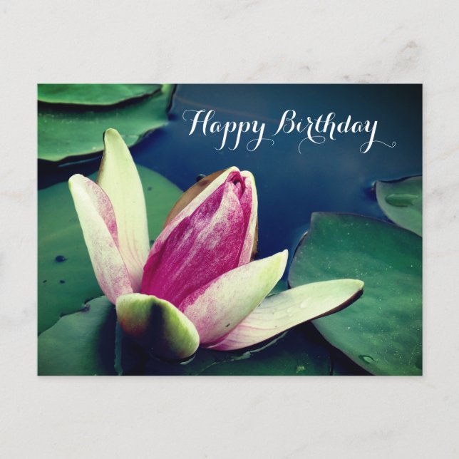 Happy Birthday Water Lilly Poscard Postcard (Front)