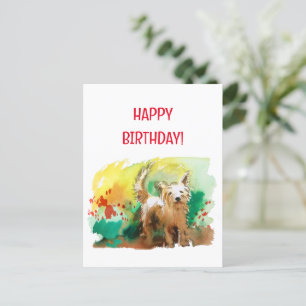 Happy birthday! West highland terrier! Postcard
