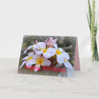 Happy Birthday White and Pink Plumeria, Pink