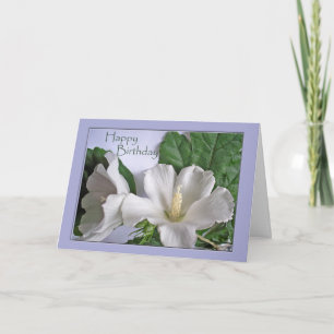 Happy Birthday White Hibiscus Rose of Sharon Card