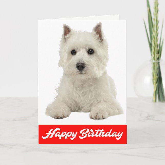 Happy Birthday White Highland Terrier Puppy Dog Card (Front)