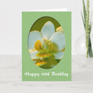 Happy Birthday, white orchid flowers in green fram Card