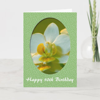 Happy Birthday, white orchid flowers in green fram Card