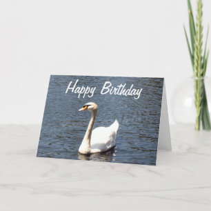 Happy Birthday white swan Card