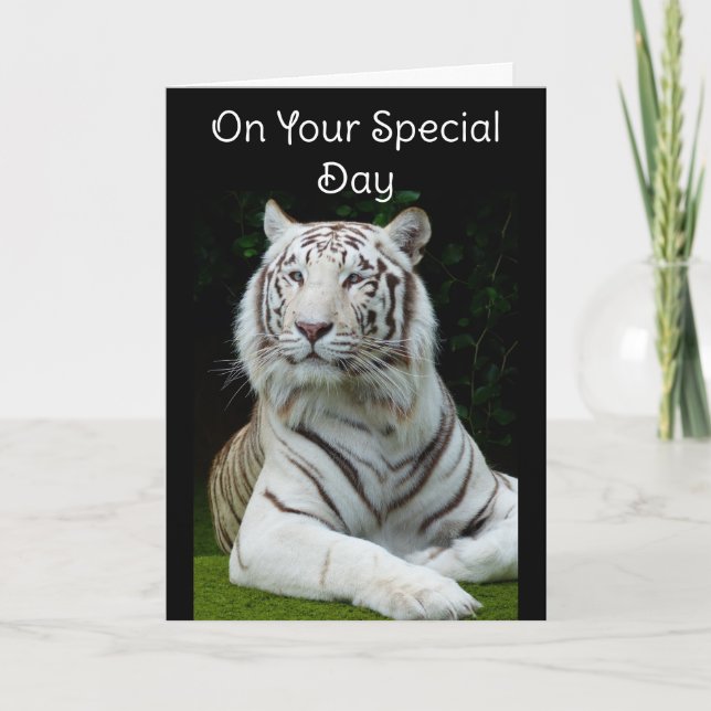 Happy Birthday White Tiger Greeting Card (Front)