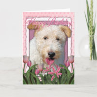 Happy Birthday - Wire Fox Terrier - Hailey