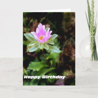 Happy Birthday Wishes Card