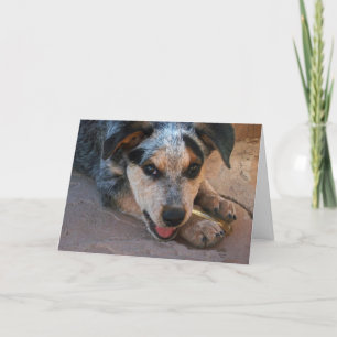 Happy Birthday Wishes for Dog Lovers Card