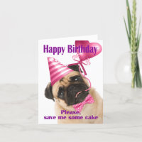Happy birthday with a Pug who wants cake