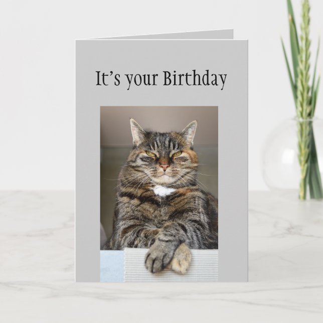 Happy Birthday Women Don't look You Age Fun Cat Card (Front)