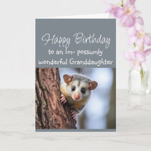 Happy Birthday Wonderful Granddaughter Opposum Card