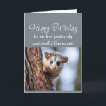 Happy Birthday Wonderful Grandson Opposum Animal  Card<br><div class="desc">Happy Birthday Wonderful Grandson Cute Opposum Animal</div>