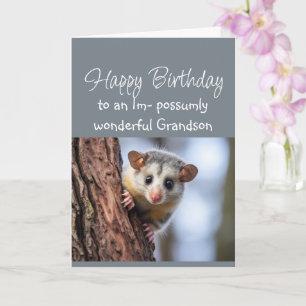 Happy Birthday Wonderful Grandson Opposum Animal  Card