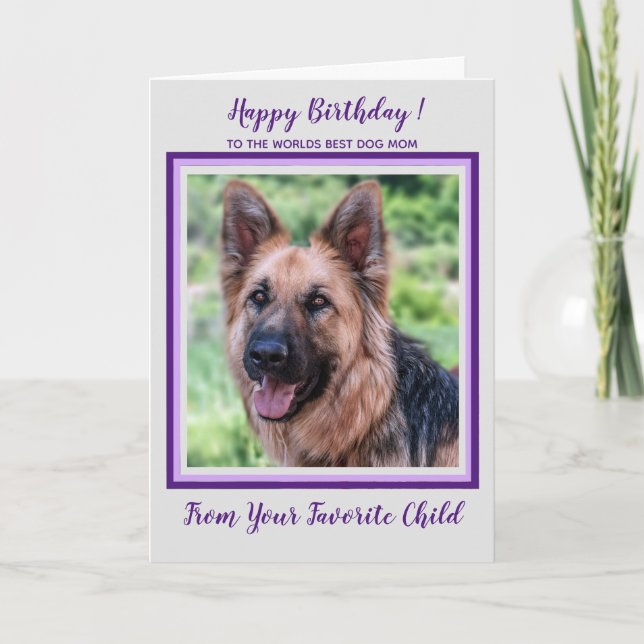 Happy Birthday Worlds Best Dog Mom Purpl Pet Photo Card (Front)