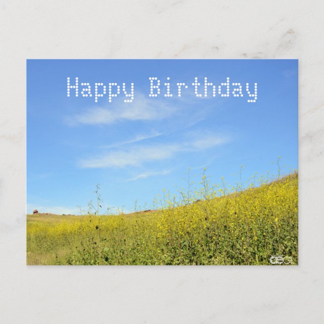 Happy Birthday Yellow Picture Postcard (Front)