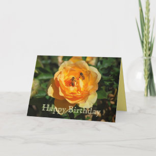 Happy Birthday Yellow Rose With Honeybees Card