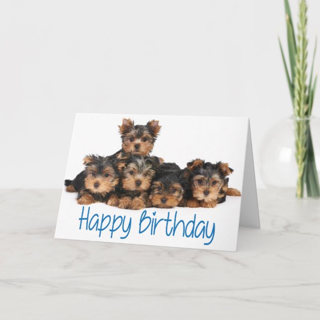 Happy Birthday Yorkshire Terrier Puppy Dog Blue Card (Front)