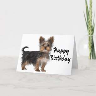 Happy Birthday Yorkshire Terrier Puppy Dog Card