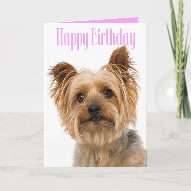 Happy Birthday Yorkshire Terrier Puppy Dog Pink Card (Front)