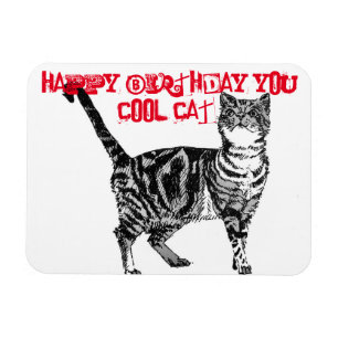 Happy Birthday You Cool Tabby Cat Birthday Card Magnet