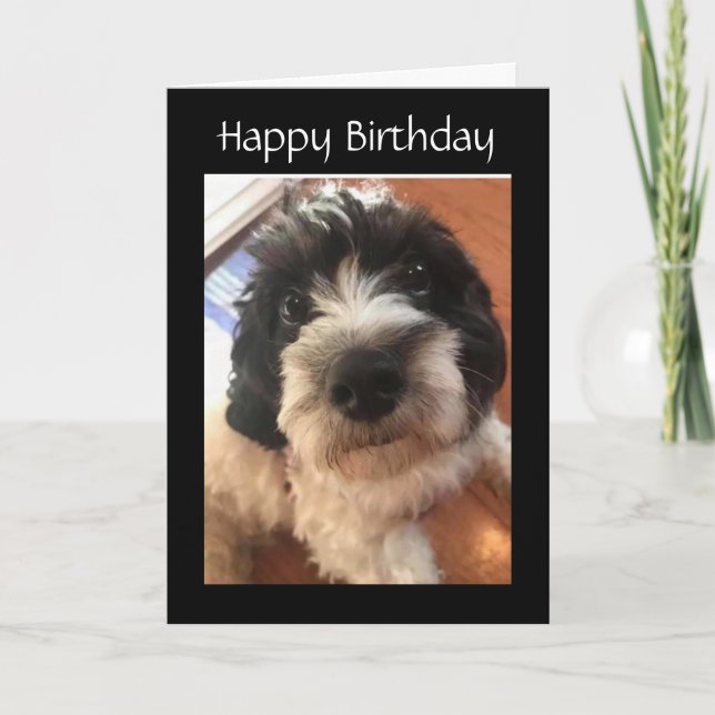HAPPY *BIRTHDAY* YOU MAKE MY TAIL WAG CARD (Front)