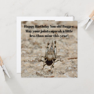 'Happy Birthday You Old Bugger' Grasshopper Card