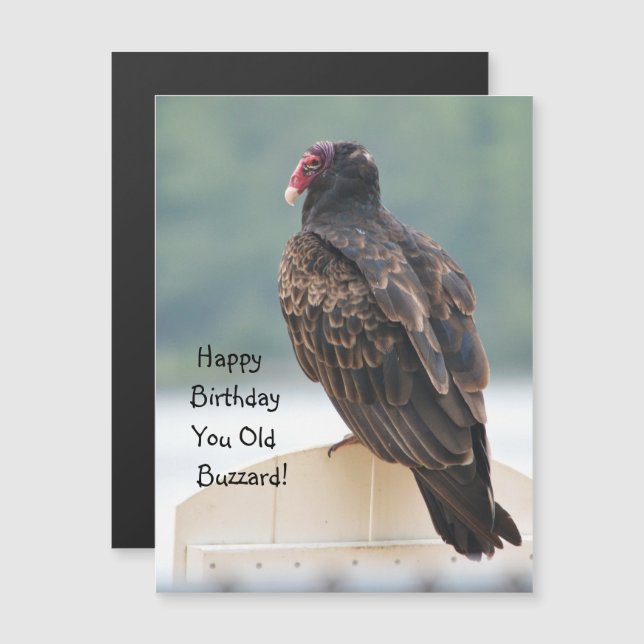 Happy Birthday You Old Buzzard Magnetic Invitation (Front/Back)