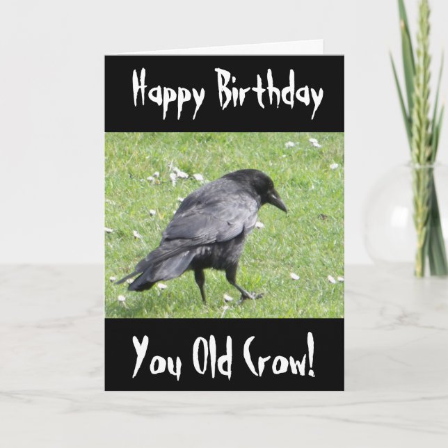 Happy Birthday You Old Crow Insult Birthday Card (Front)