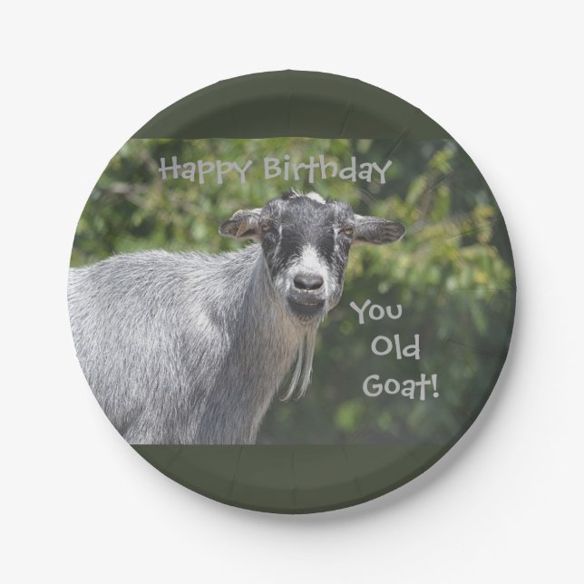 Happy Birthday You Old Goat Plate (Front)