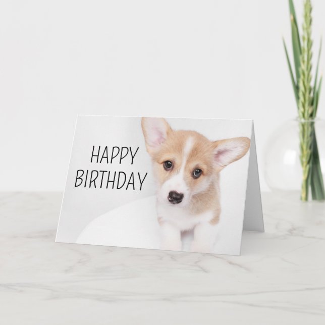 Happy Birthday | Young Corgi Puppy Card (Front)