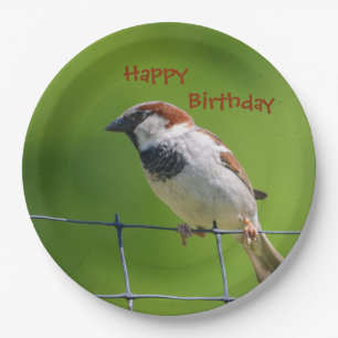 Happy Birthdy Bird Plate