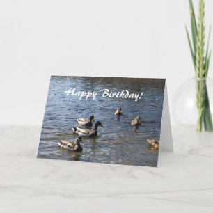 Happy Bithday, wild ducks in the pond Card