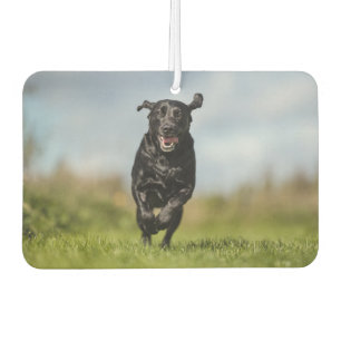 Happy Black Labrador Retriever Running Air Freshen Car Air Freshener