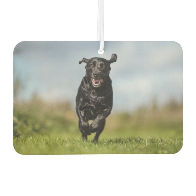 Happy Black Labrador Retriever Running Air Freshen Car Air Freshener (Front)