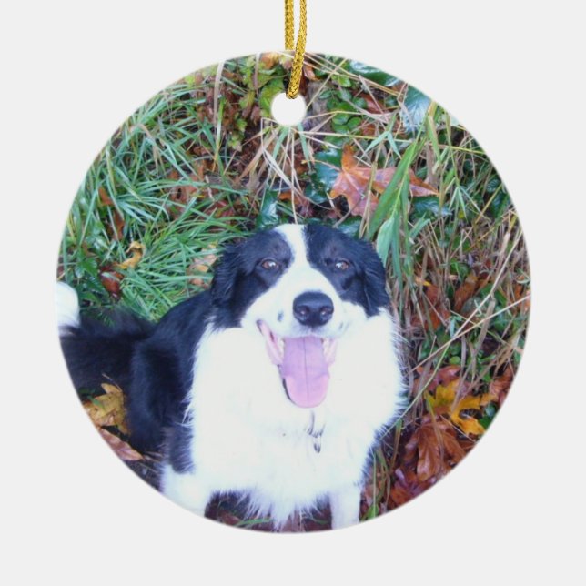Happy Border Collie Ceramic Tree Decoration (Front)