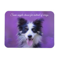 Happy Border Collie Dog, Angel with Fur Magnet