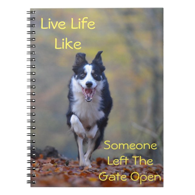 Happy Border Collie dog running and playing Spiral Notebook (Front)
