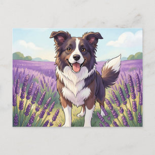 Happy Border Collie Lavender Field Postcard