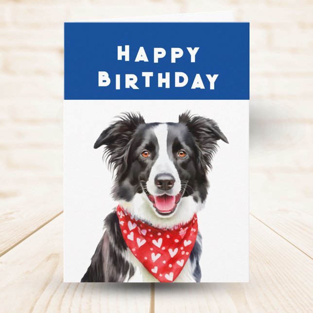 Happy Border Collie Read Heart Bandanna Birthday Card (Creator Uploaded)