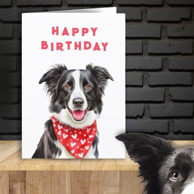 Happy Border Collie Read Heart Bandanna Birthday Card (Creator Uploaded)