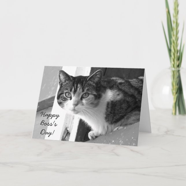 Happy Boss's Day Cat greeting card (Front)