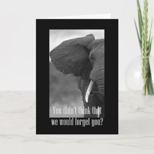 Happy Boss's Day with elephant black & white photo Card (Front)