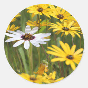 Happy Bright Yellow Flowers Wedding Favour Sticker