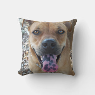 Happy brown pup with a speckled tongue cushion