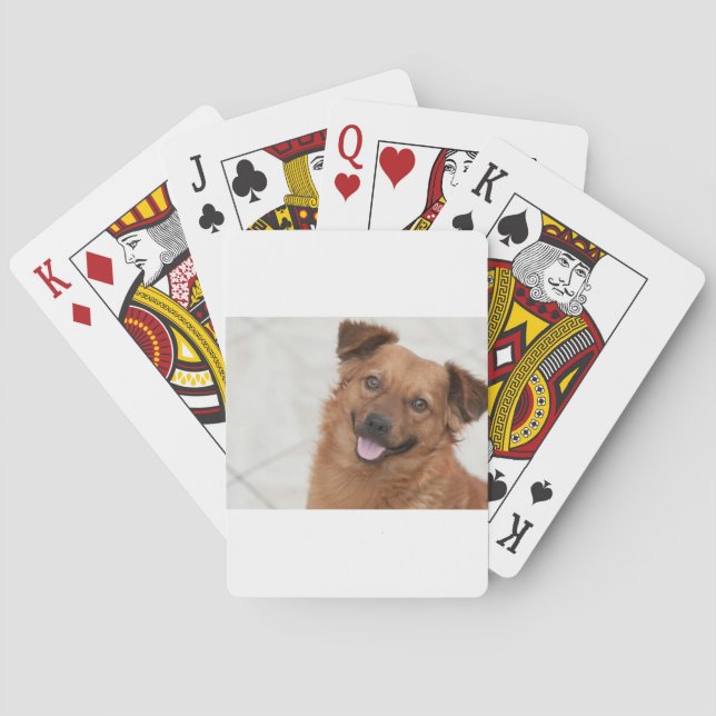 Happy Brown Puppy Dog Playing Cards (Back)