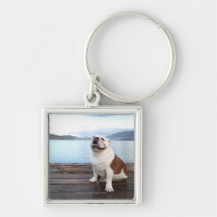 happy bull dog sitting on deck near lake key ring