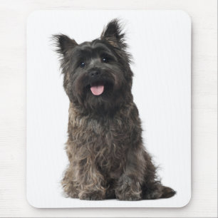 Happy Cairn Terrier Puppy Dog Love Mousepad