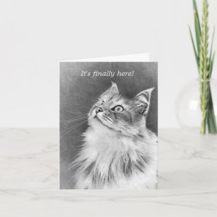 Happy Cake Day! Card