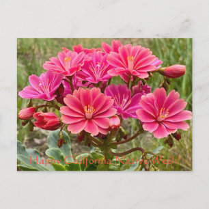 Happy California Native Week! Postcard